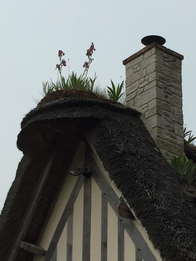 Holiday Home Le Clos Du Phare Saint-Samson-de-la-Roque Экстерьер фото